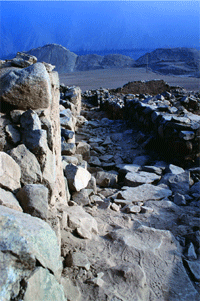 Camiño usado polo Imperio Inca candidato a Patrimonio Mundial